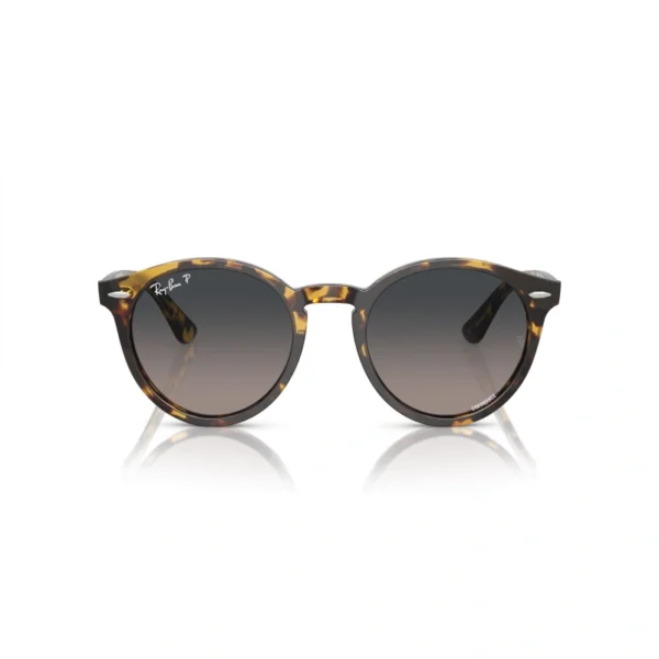 RAY BAN CHROMANCE POLARIZOVANE LARRY Sunčane naočare 0RB7680S 1332GL 49-51