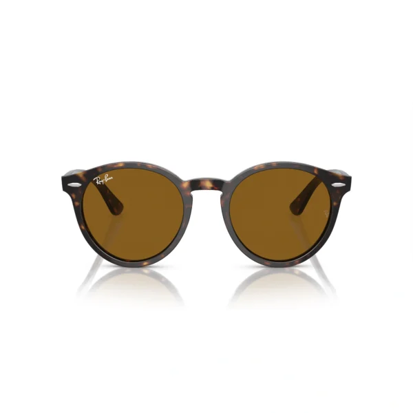 RAY BAN LARRY Sunčane naočare 0RB7680S 902/33 49