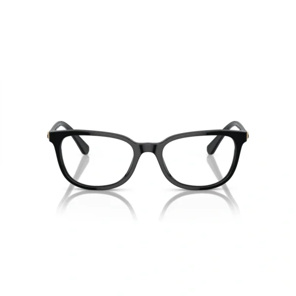 SWAROVSKI Okviri 0SK2003 1001 52