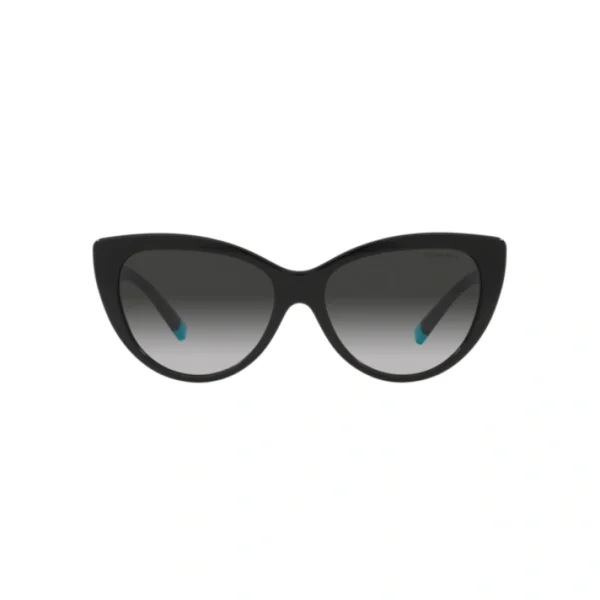 TIFFANY Sunčane naočare 0TF4196 80013C 56