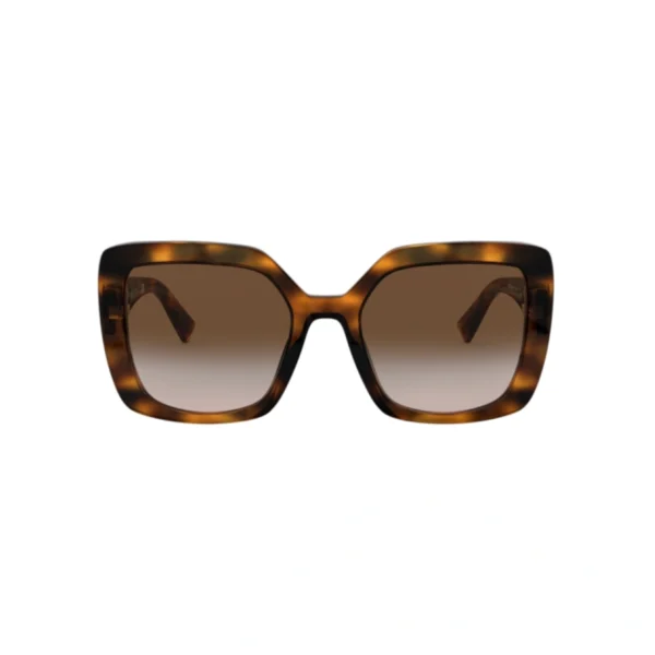 VALENTINO Sunčane naočare 0VA4065 515113 53