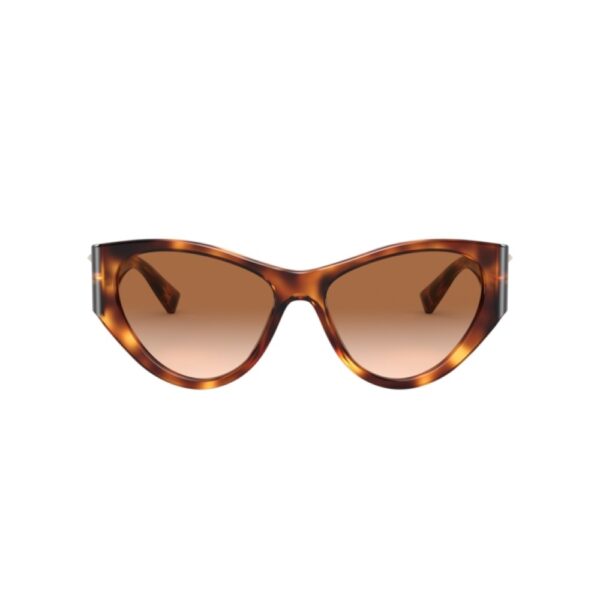 VALENTINO Sunčane naočare 0VA4071 501113 55