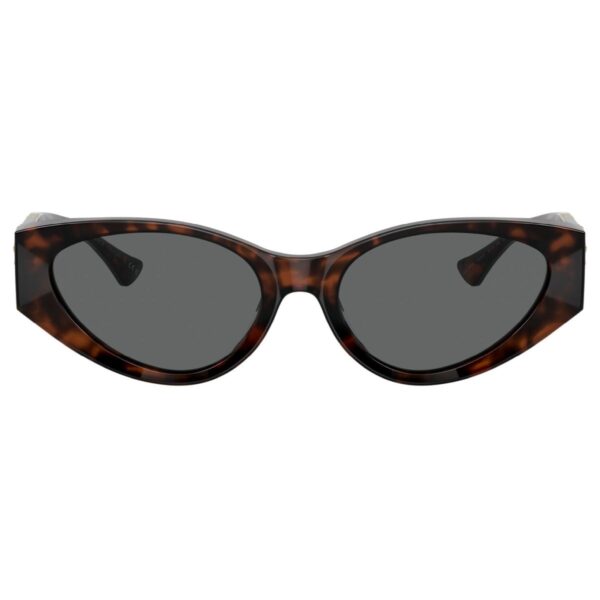 VERSACE Sunčane naočare 0VE4454 542987 55