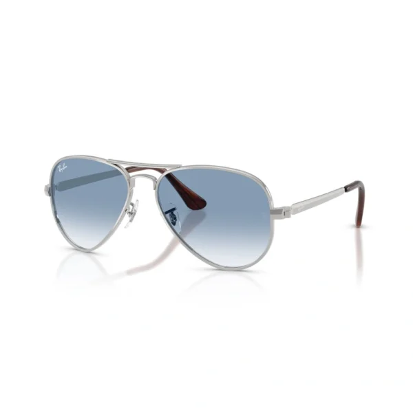 RAY BAN AVIATOR MAX Sunčane naočare 0RB3925 003/3F 58