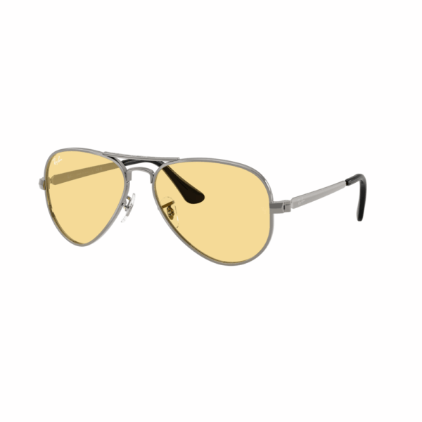 RAY BAN AVIATOR MAX Sunčane naočare 0RB3925 004/R6 58