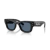 RAY BAN Wayfarer Puffer Sunčane naočare 0RB4940B 686480 47