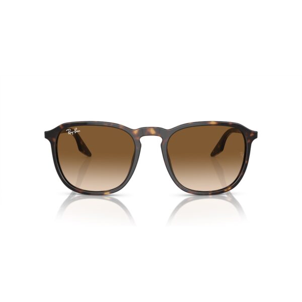 RAY-BAN Sunčane naočare 0RB2203 902/51 55